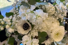 white-anemones